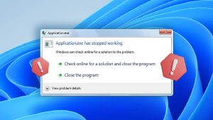 Application Has Stopped Working